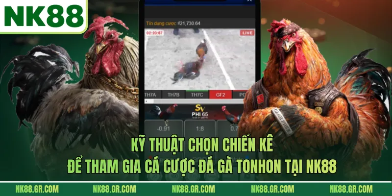 Kỹ thuật chọn chiến kê để tham gia cá cược đá gà Tonhon tại NK88