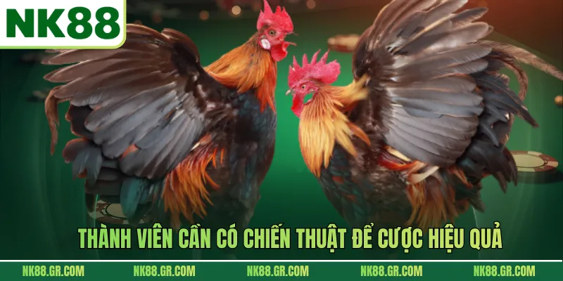 Thành viên cần có chiến thuật để cược hiệu quả