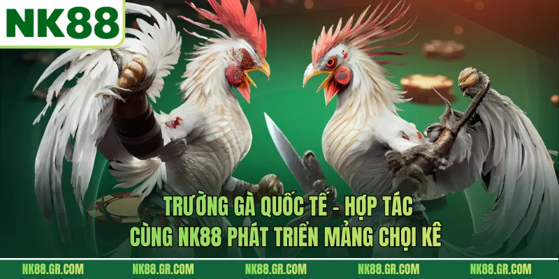 Trường Gà Quốc Tế - Hợp Tác Cùng NK88 Phát Triển Mảng Chọi Kê